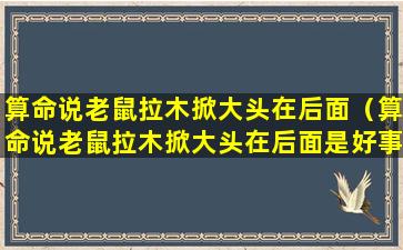 算命说老鼠拉木掀大头在后面（算命说老鼠拉木掀大头在后面是好事还是坏事）