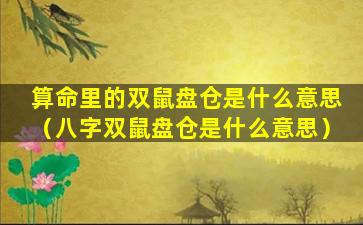 算命里的双鼠盘仓是什么意思（八字双鼠盘仓是什么意思）