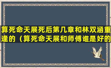 算死命天展死后第几章和林双涵重逢的（算死命天展和师傅谁是好的）