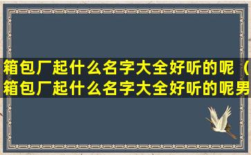 箱包厂起什么名字大全好听的呢（箱包厂起什么名字大全好听的呢男生）