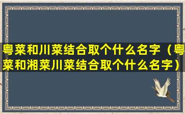 粤菜和川菜结合取个什么名字（粤菜和湘菜川菜结合取个什么名字）