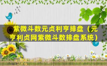 紫微斗数元贞利亨排盘（元亨利贞网紫微斗数排盘系统）