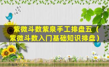 紫微斗数紫泉手工排盘五（紫微斗数入门基础知识排盘）