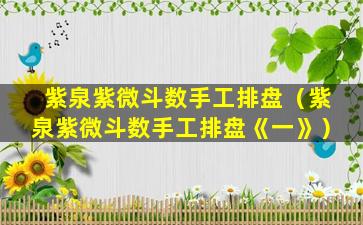 紫泉紫微斗数手工排盘（紫泉紫微斗数手工排盘《一》）