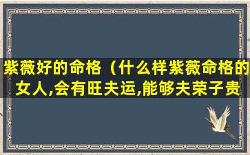 紫薇好的命格（什么样紫薇命格的女人,会有旺夫运,能够夫荣子贵）