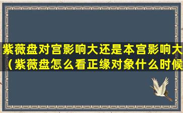 紫薇盘对宫影响大还是本宫影响大（紫薇盘怎么看正缘对象什么时候出来）