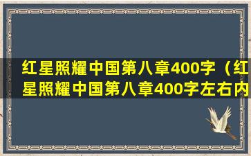 红星照耀中国第八章400字（红星照耀中国第八章400字左右内容概括）