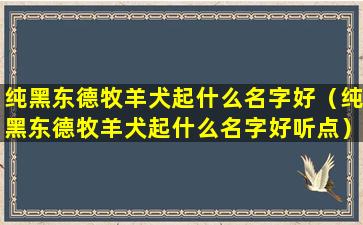 纯黑东德牧羊犬起什么名字好（纯黑东德牧羊犬起什么名字好听点）