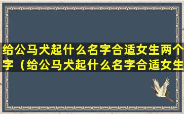 给公马犬起什么名字合适女生两个字（给公马犬起什么名字合适女生两个字好听）