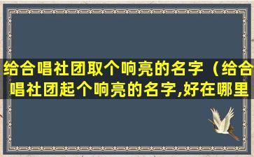 给合唱社团取个响亮的名字（给合唱社团起个响亮的名字,好在哪里）