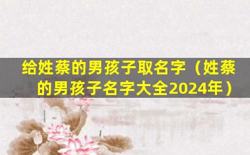 给姓蔡的男孩子取名字（姓蔡的男孩子名字大全2024年）