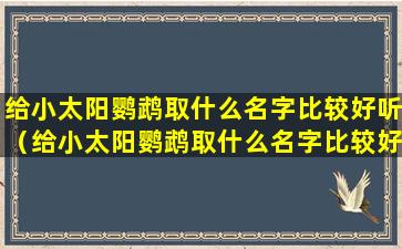 给小太阳鹦鹉取什么名字比较好听（给小太阳鹦鹉取什么名字比较好听一点）