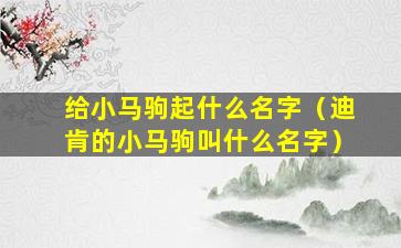 给小马驹起什么名字（迪肯的小马驹叫什么名字）