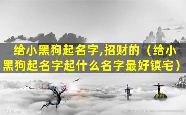 给小黑狗起名字,招财的（给小黑狗起名字起什么名字最好镇宅）