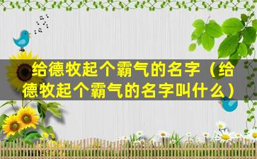 给德牧起个霸气的名字（给德牧起个霸气的名字叫什么）