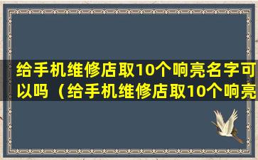 给手机维修店取10个响亮名字可以吗（给手机维修店取10个响亮名字可以吗怎么取）