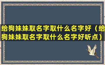 给狗妹妹取名字取什么名字好（给狗妹妹取名字取什么名字好听点）