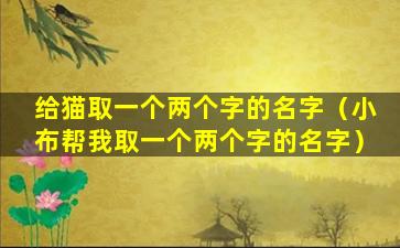 给猫取一个两个字的名字（小布帮我取一个两个字的名字）