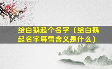 给白鹅起个名字（给白鹅起名字暮雪含义是什么）