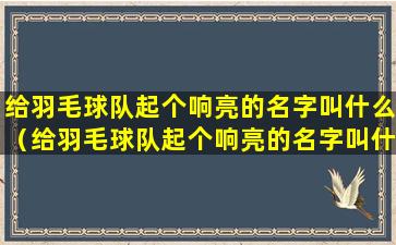 给羽毛球队起个响亮的名字叫什么（给羽毛球队起个响亮的名字叫什么好听）