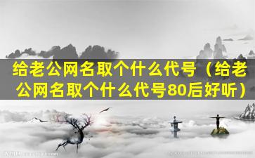 给老公网名取个什么代号（给老公网名取个什么代号80后好听）