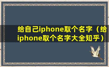 给自己iphone取个名字（给iphone取个名字大全知乎）