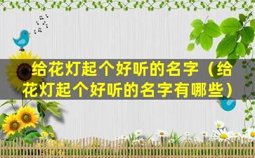 给花灯起个好听的名字（给花灯起个好听的名字有哪些）