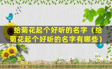 给菊花起个好听的名字（给菊花起个好听的名字有哪些）