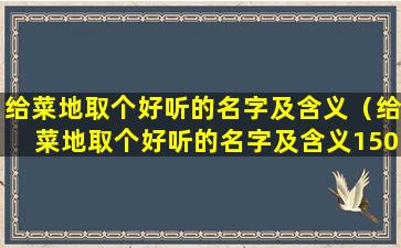 给菜地取个好听的名字及含义（给菜地取个好听的名字及含义150字）