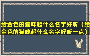 给金色的猫咪起什么名字好听（给金色的猫咪起什么名字好听一点）