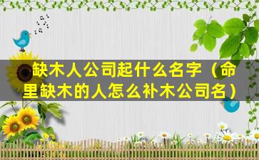 缺木人公司起什么名字（命里缺木的人怎么补木公司名）