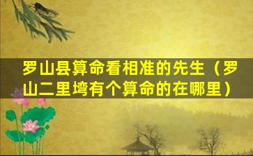 罗山县算命看相准的先生（罗山二里塆有个算命的在哪里）