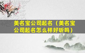 美名宝公司起名（美名宝公司起名怎么样好听吗）