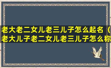 老大老二女儿老三儿子怎么起名（老大儿子老二女儿老三儿子怎么称呼）