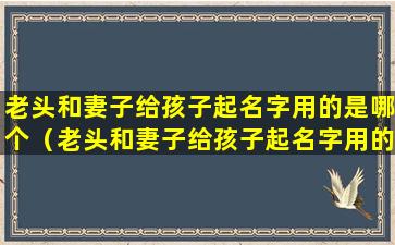 老头和妻子给孩子起名字用的是哪个（老头和妻子给孩子起名字用的是哪个工具书大林和小林）