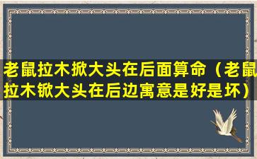 老鼠拉木掀大头在后面算命（老鼠拉木锨大头在后边寓意是好是坏）