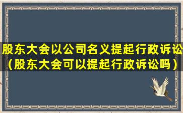 股东大会以公司名义提起行政诉讼（股东大会可以提起行政诉讼吗）