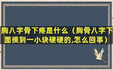 胸八字骨下疼是什么（胸骨八字下面摸到一小块硬硬的,怎么回事）