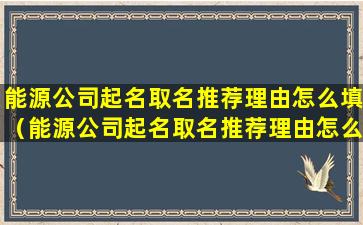 能源公司起名取名推荐理由怎么填（能源公司起名取名推荐理由怎么填写才正确）