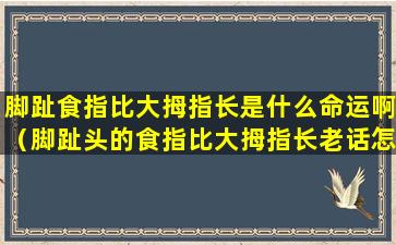 脚趾食指比大拇指长是什么命运啊（脚趾头的食指比大拇指长老话怎么说）