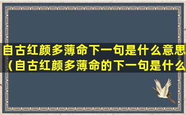 自古红颜多薄命下一句是什么意思（自古红颜多薄命的下一句是什么）