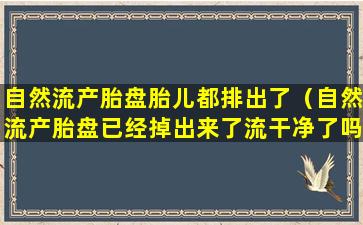 自然流产胎盘胎儿都排出了（自然流产胎盘已经掉出来了流干净了吗）