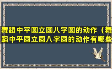 舞蹈中平圆立圆八字圆的动作（舞蹈中平圆立圆八字圆的动作有哪些）