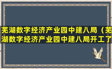 芜湖数字经济产业园中建八局（芜湖数字经济产业园中建八局开工了没有）