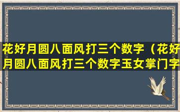 花好月圆八面风打三个数字（花好月圆八面风打三个数字玉女掌门字迷图迷）