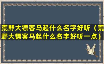 荒野大镖客马起什么名字好听（荒野大镖客马起什么名字好听一点）