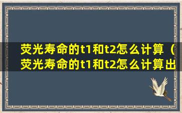 荧光寿命的t1和t2怎么计算（荧光寿命的t1和t2怎么计算出来的）