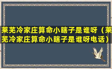 莱芜冷家庄算命小瞎子是谁呀（莱芜冷家庄算命小瞎子是谁呀电话）