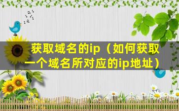 获取域名的ip（如何获取一个域名所对应的ip地址）