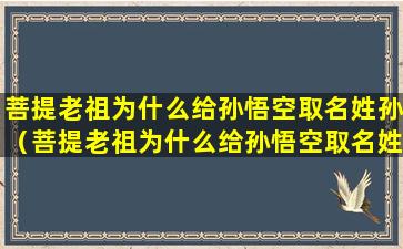 菩提老祖为什么给孙悟空取名姓孙（菩提老祖为什么给孙悟空取名姓孙呢）